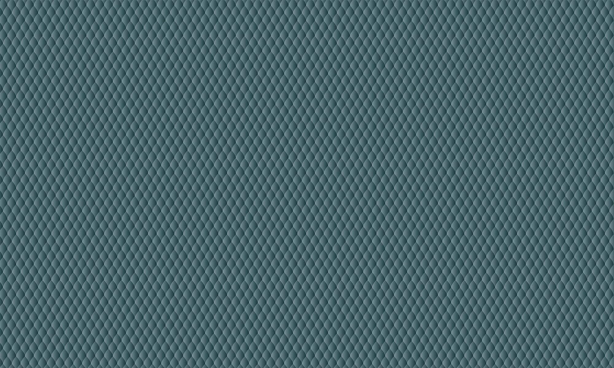 6330-SHARK-04-2